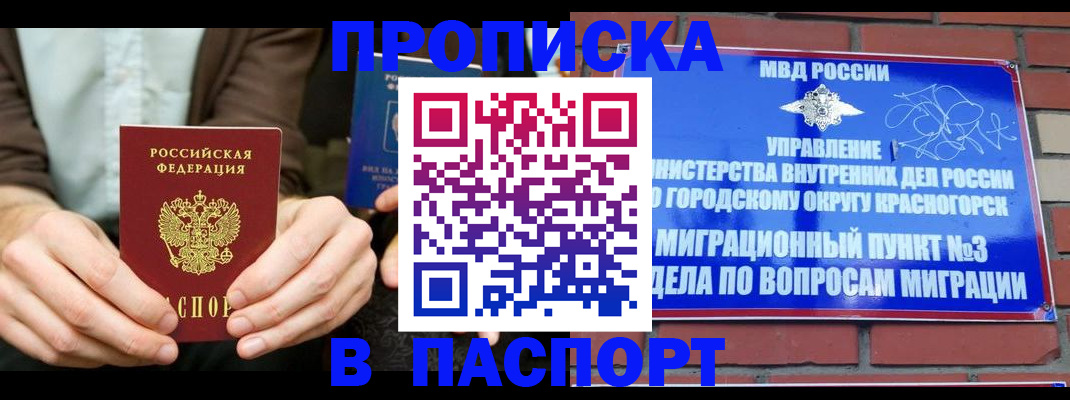где прописаться в Стародубе
